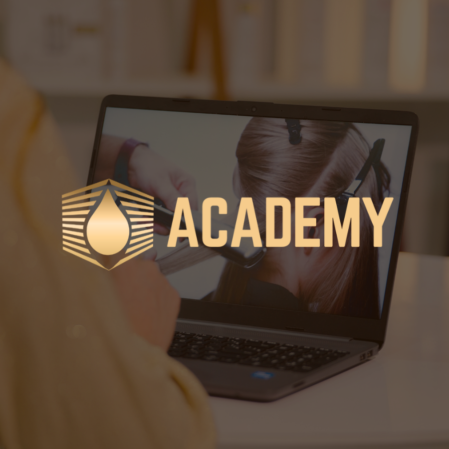 Vitta Academy - Online Certification